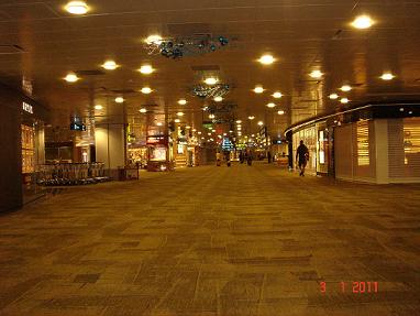 Changi Airport T2 carpet̺